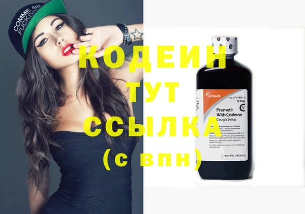 прущие грибы Абинск