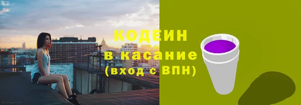 прущие грибы Абинск