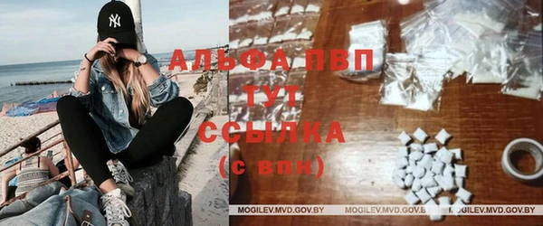 прущие грибы Абинск