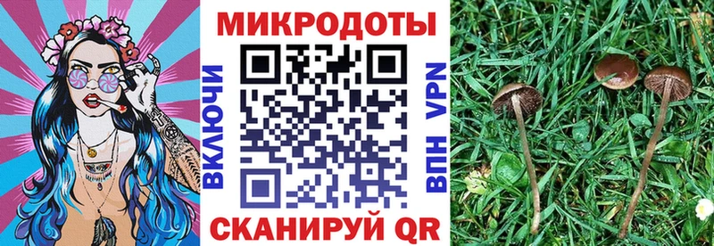 Галлюциногенные грибы Cubensis  Новое Девяткино 